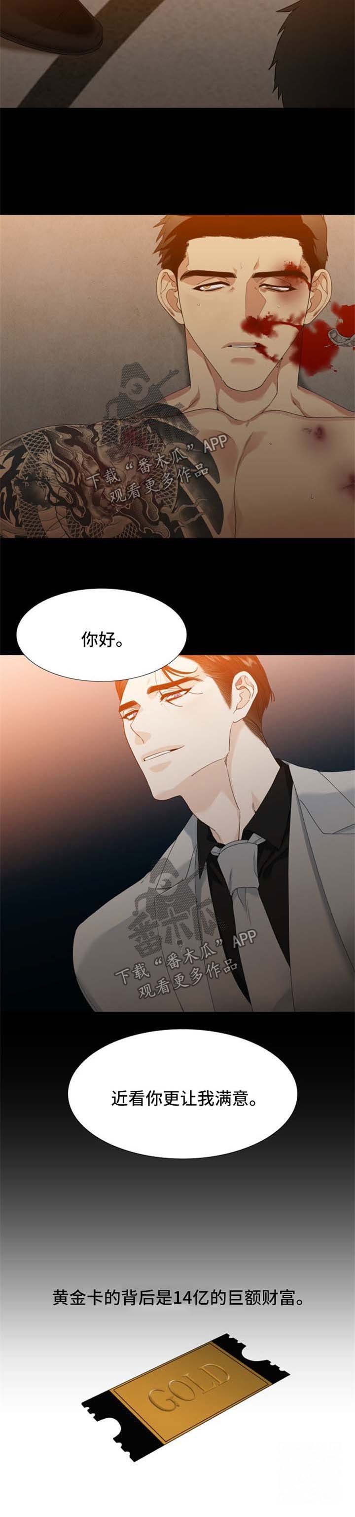 第31章：黄金卡