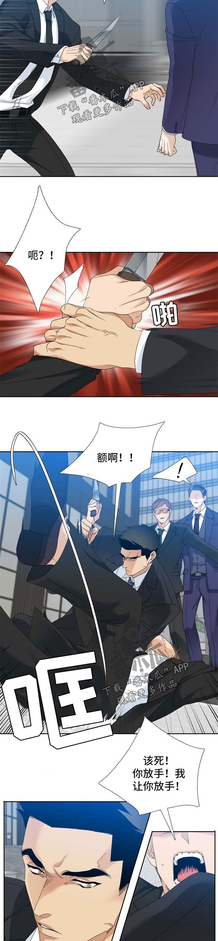 第33章：刺杀