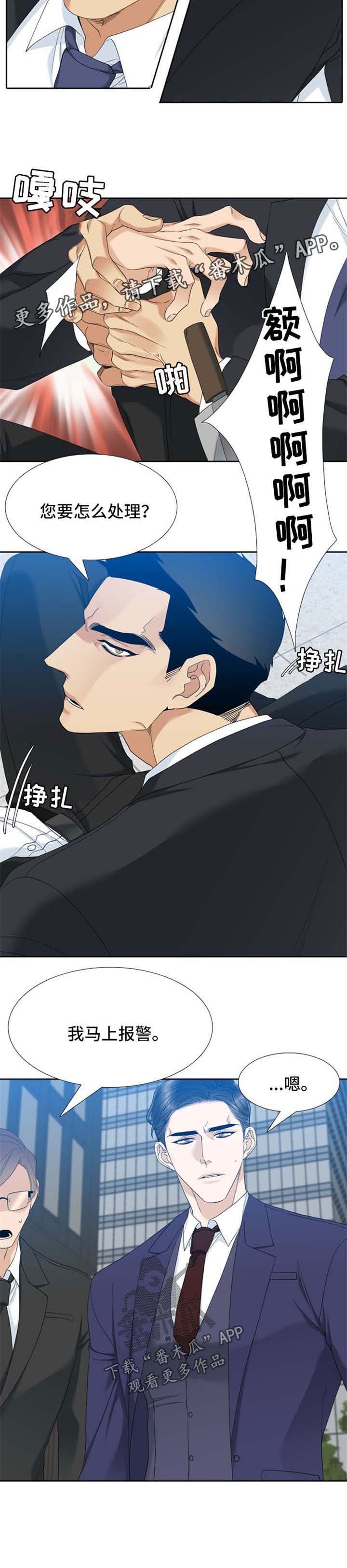 第33章：刺杀