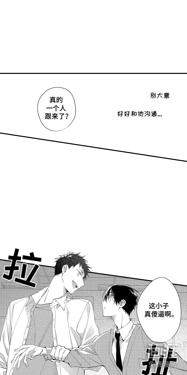 第11章：促进剂
