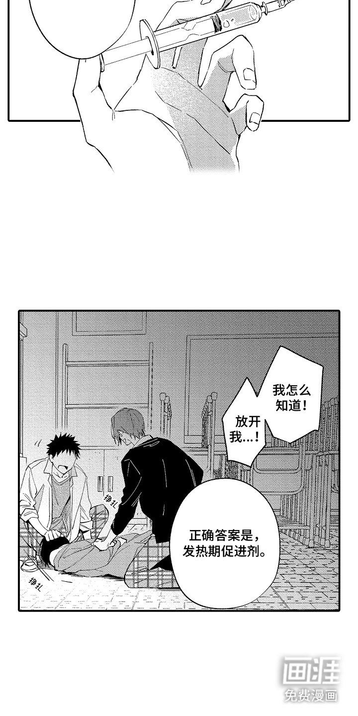 第11章：促进剂