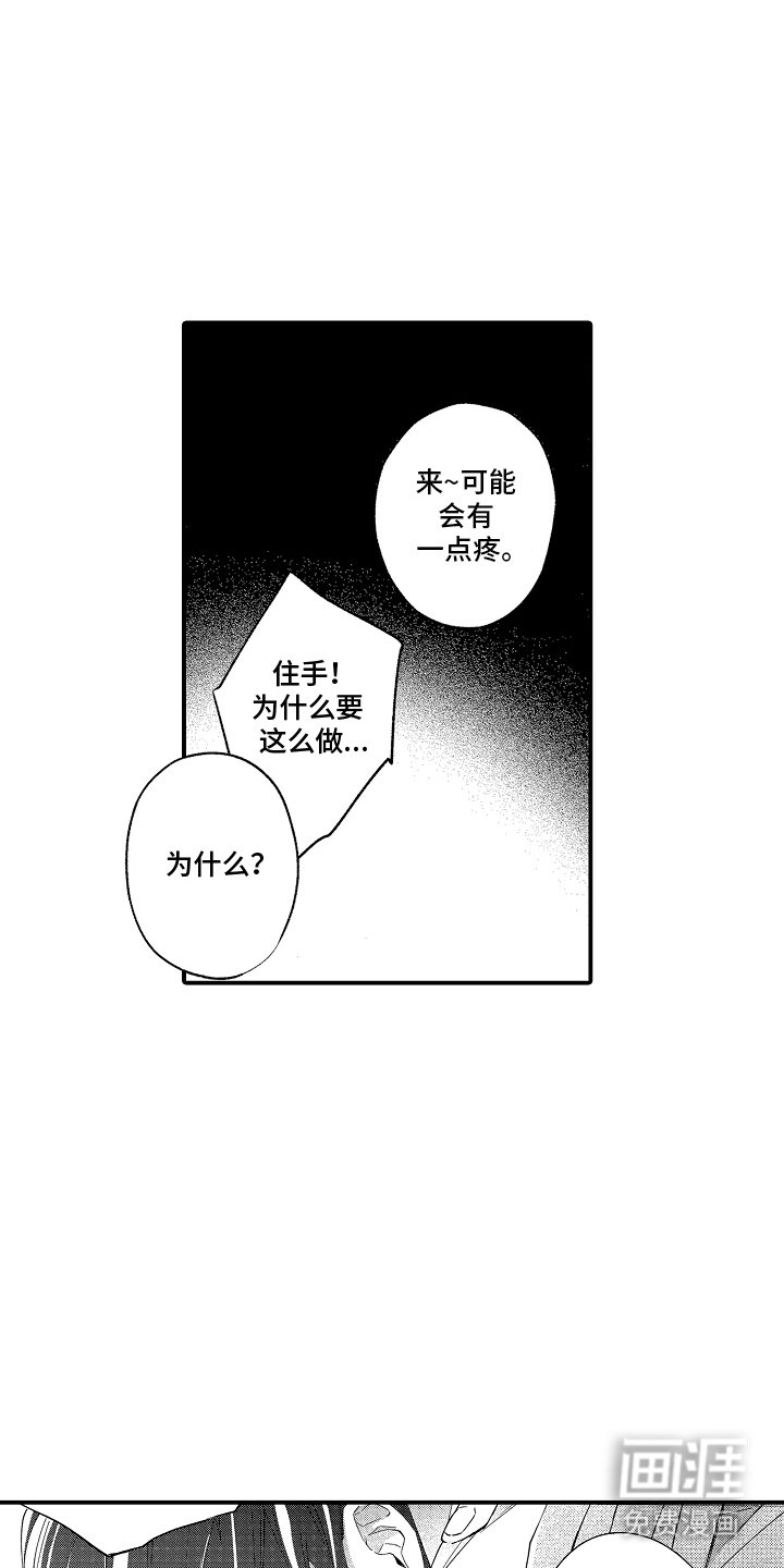 第11章：促进剂