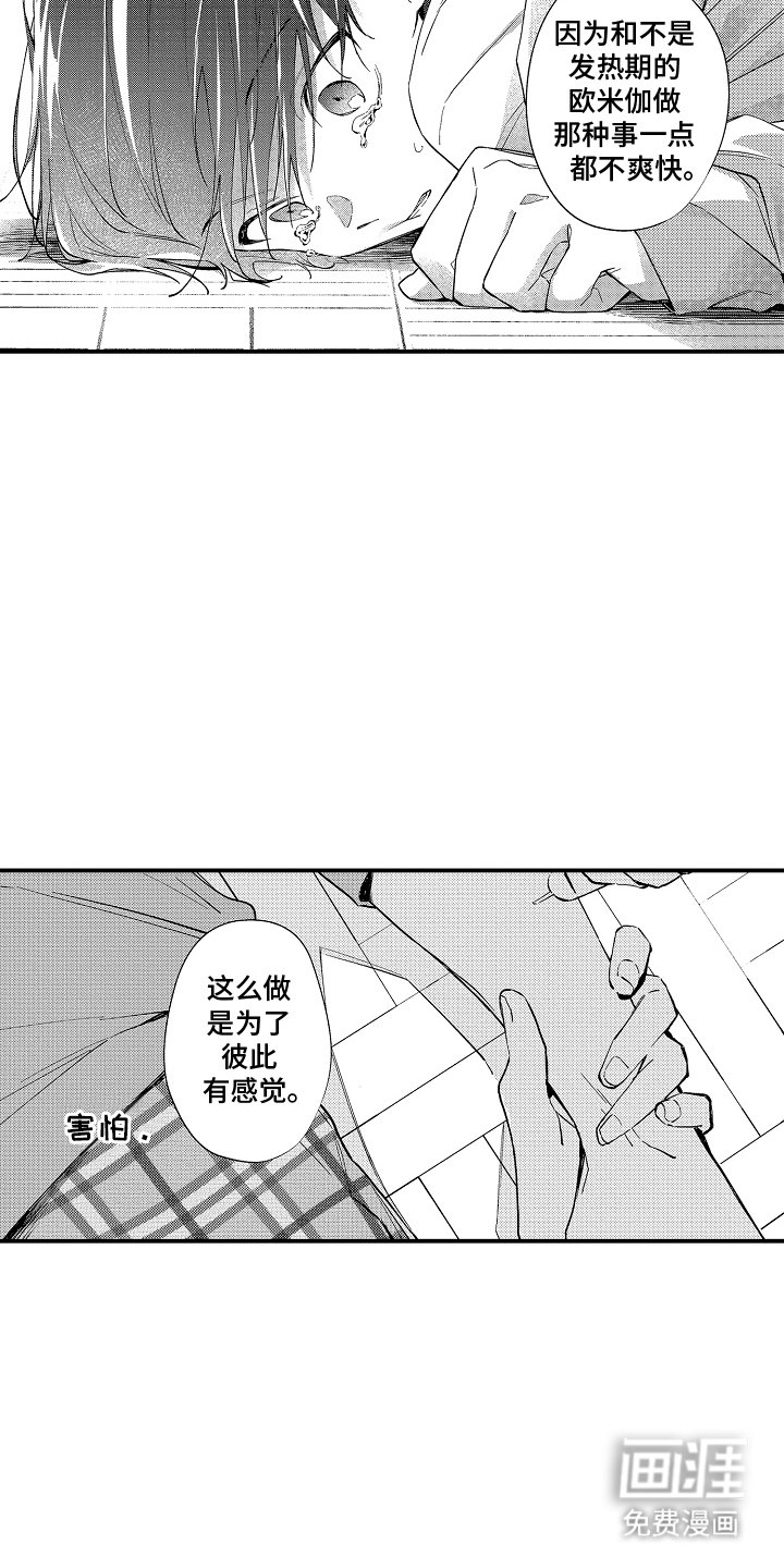 第11章：促进剂