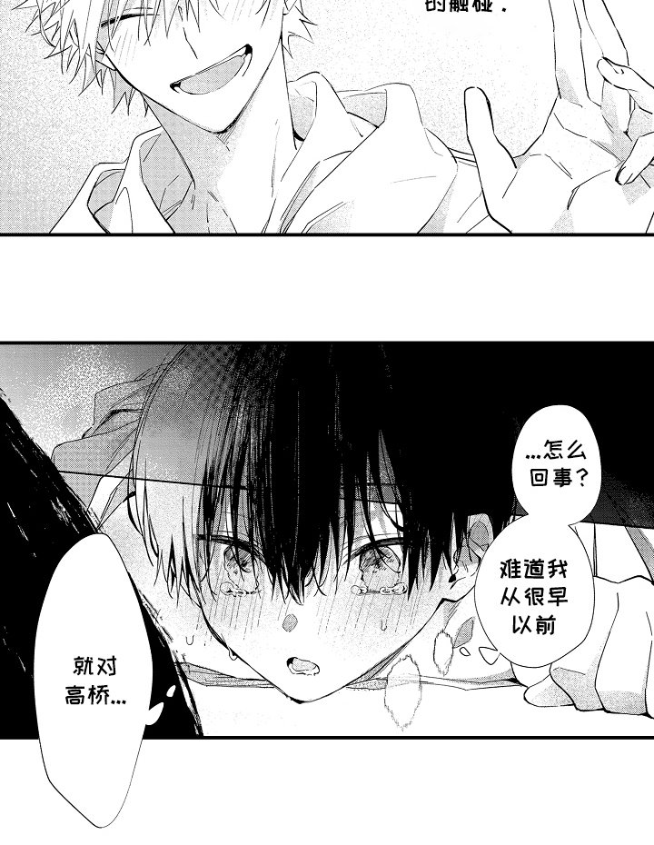 第11章：促进剂