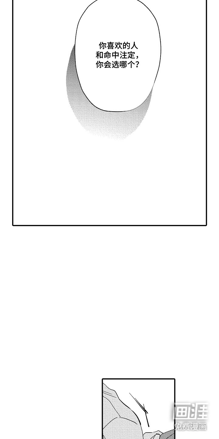 第13章：处分