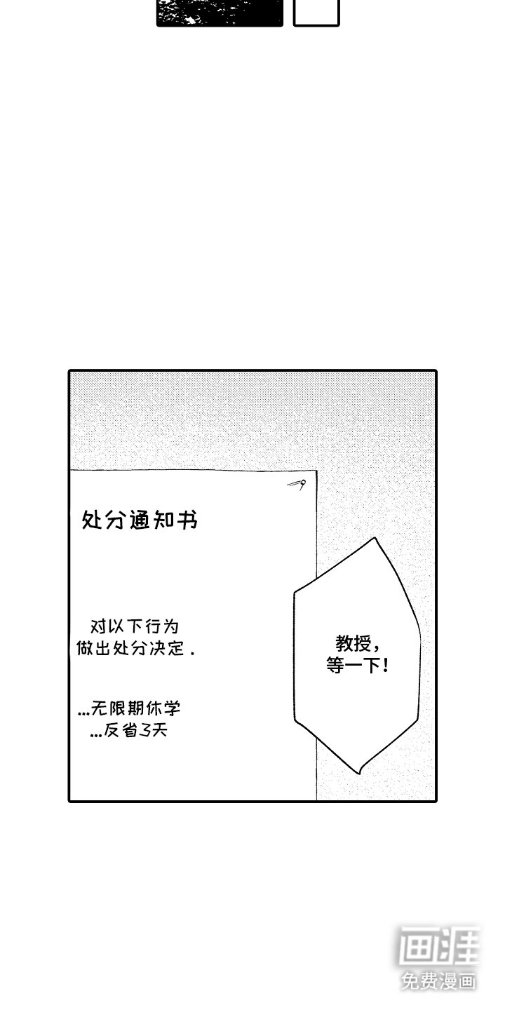 第13章：处分