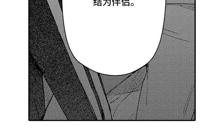 第19章：结为伴侣