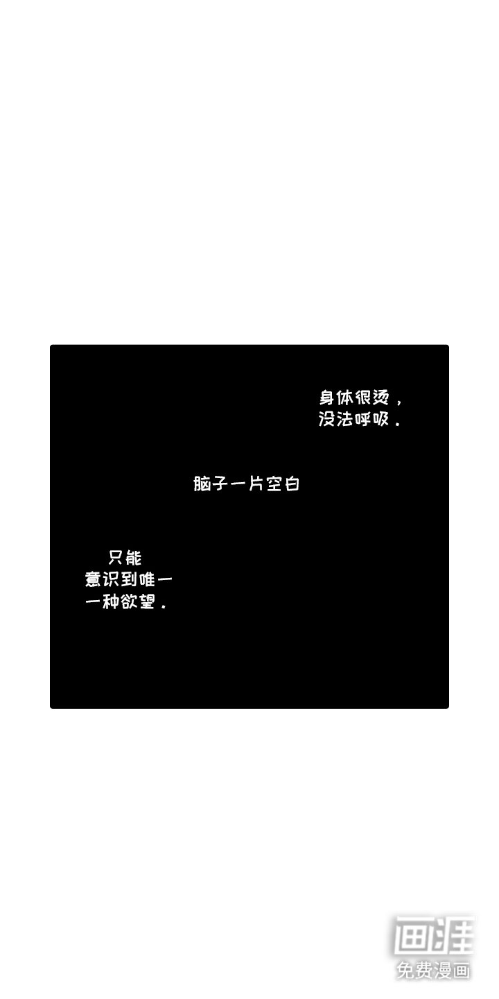 第4章：伴侣