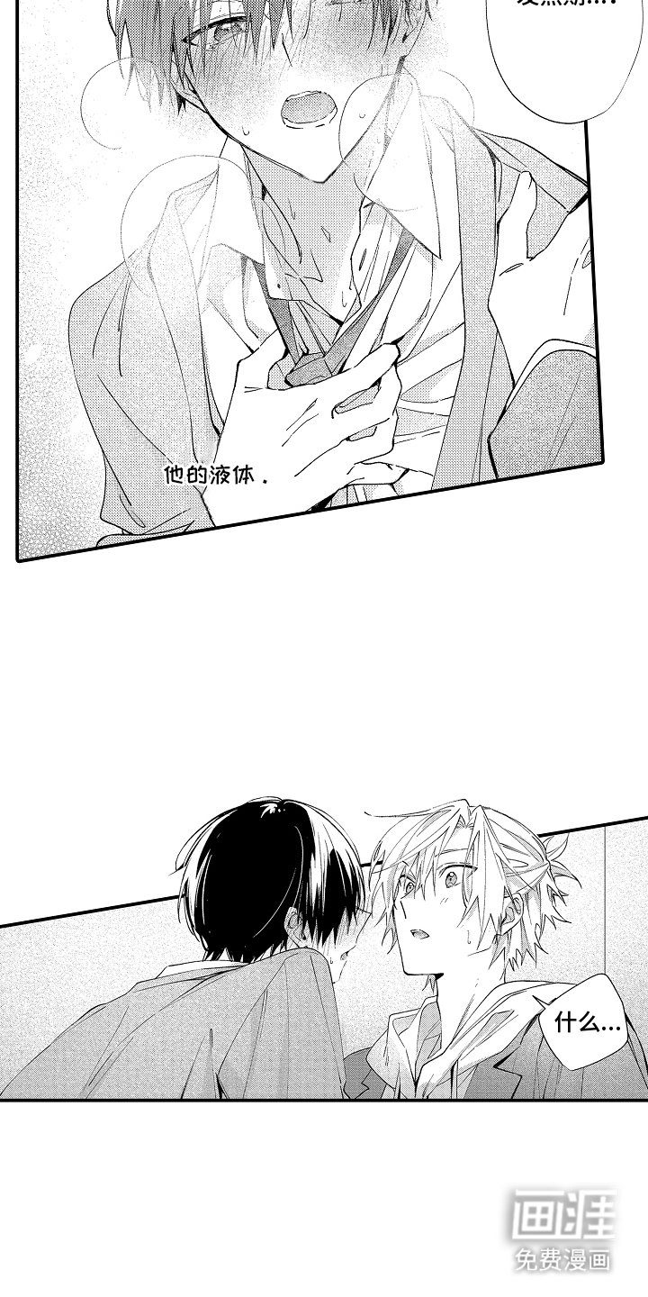 第4章：伴侣