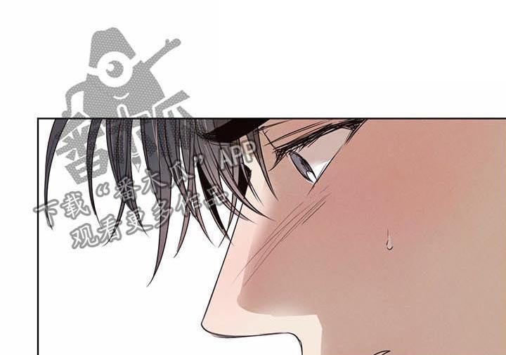 第29章：怀疑