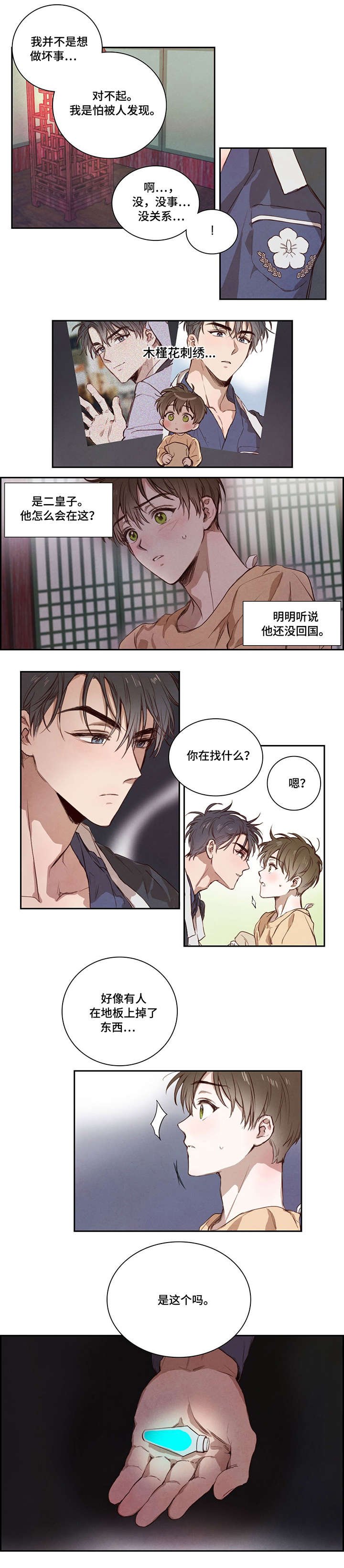 第4章：木槿花