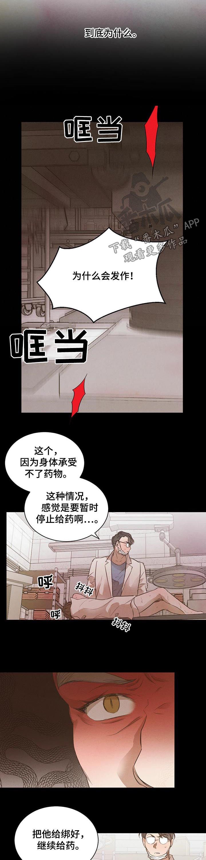 第49章：【第二季】最佳人选
