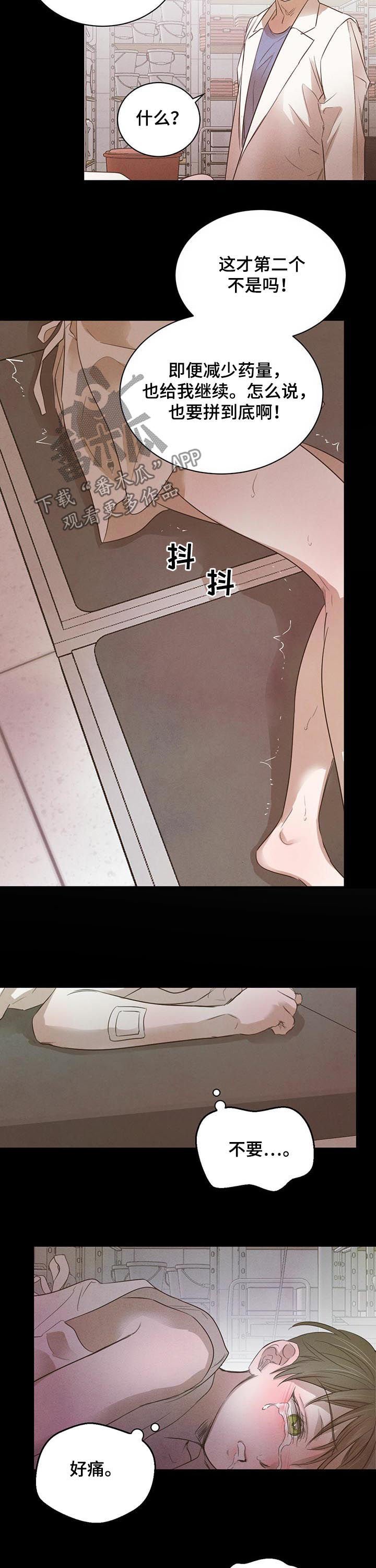 第49章：【第二季】最佳人选