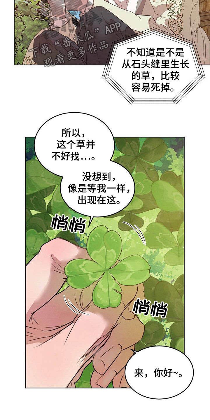 第87章：【第二季】四叶草