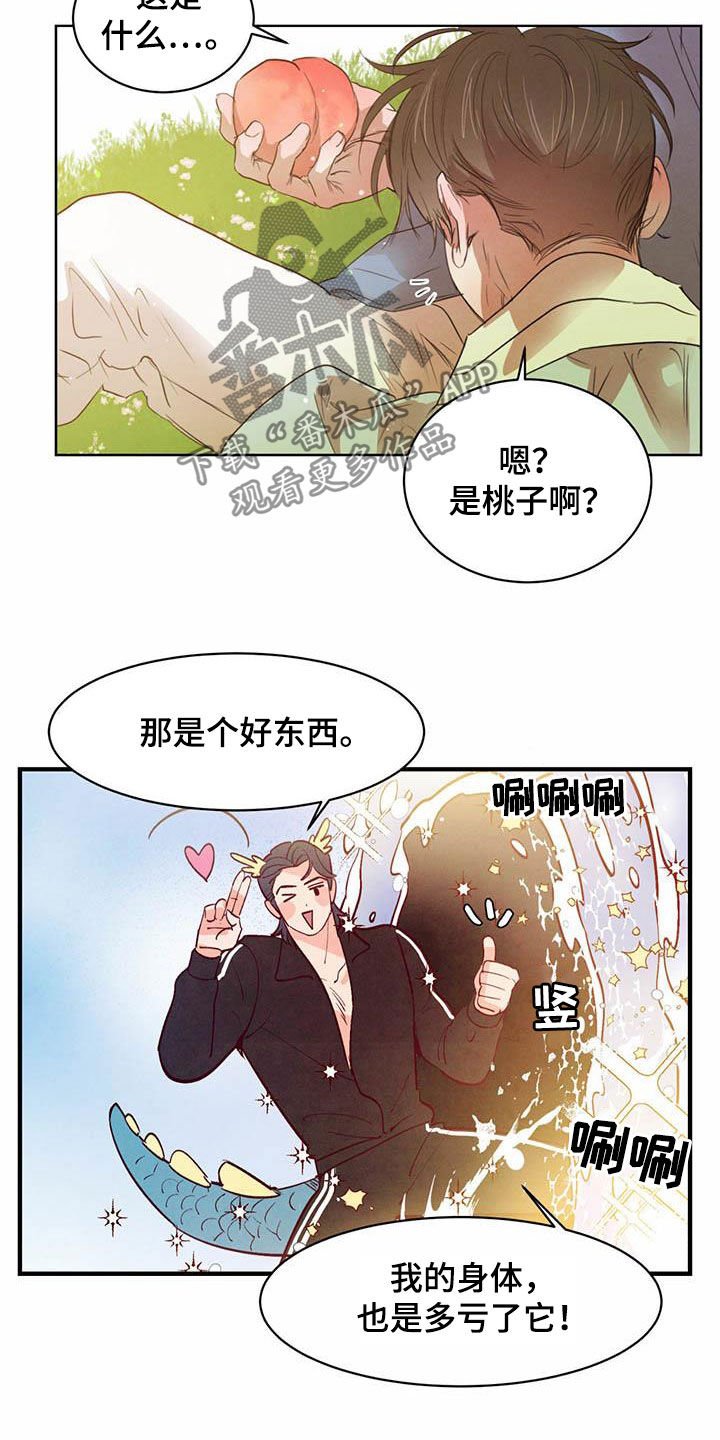 第91章：【特别篇】龙飞桃落