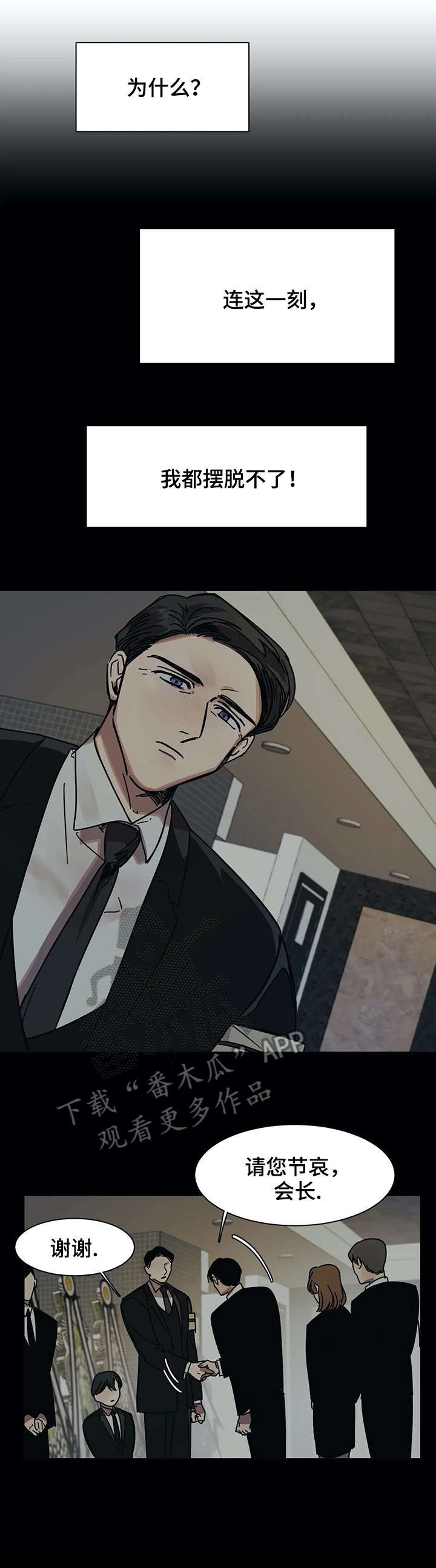 第17章：同类