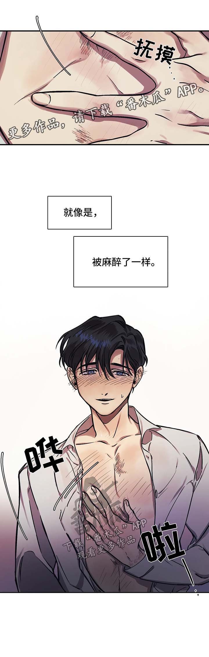 第20章：麻醉