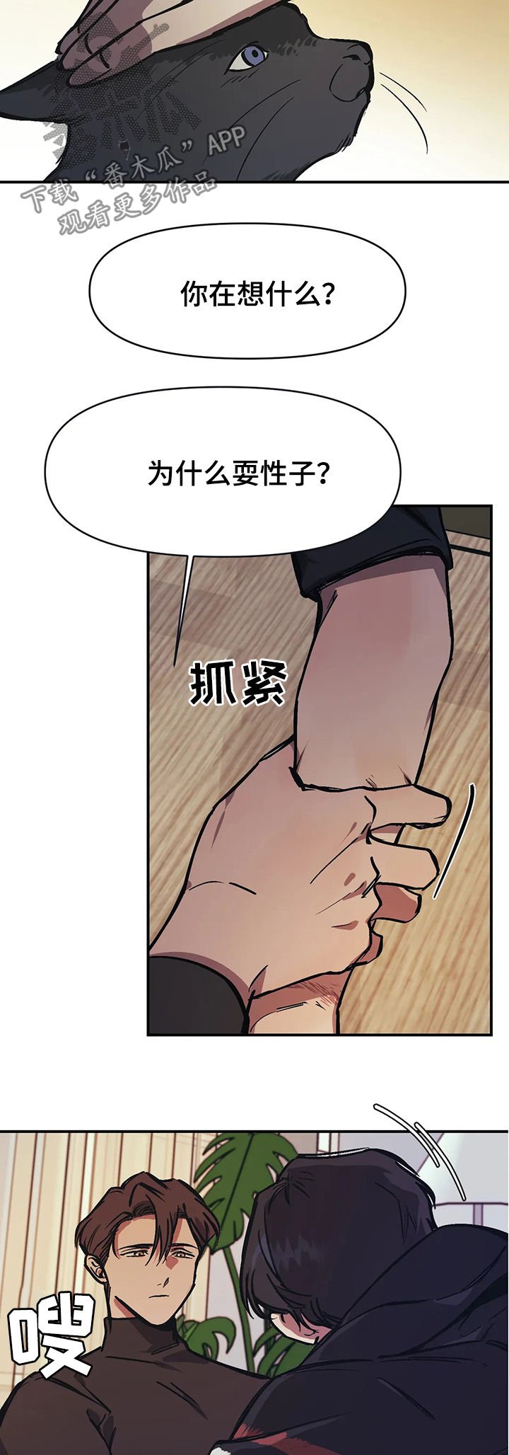 第28章：亲眼看看