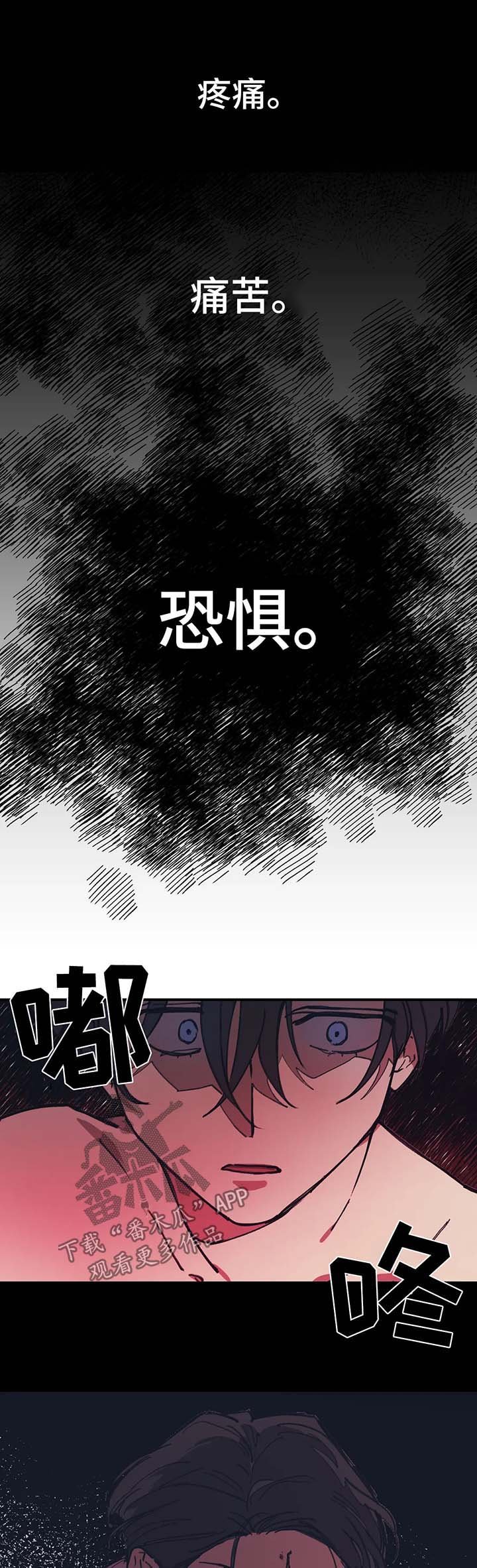 第46章：事实真相