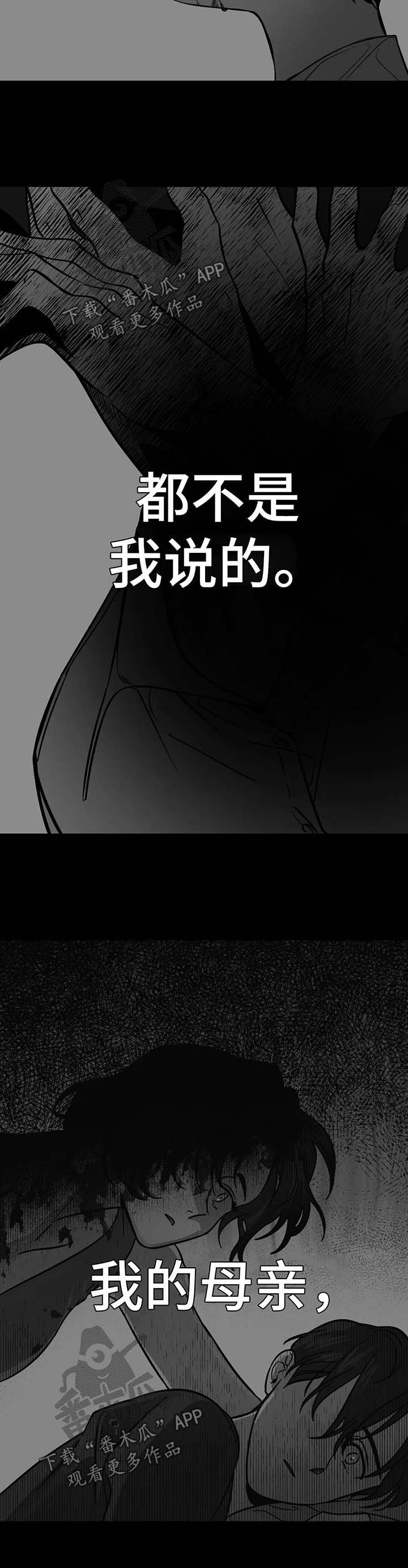 第46章：事实真相