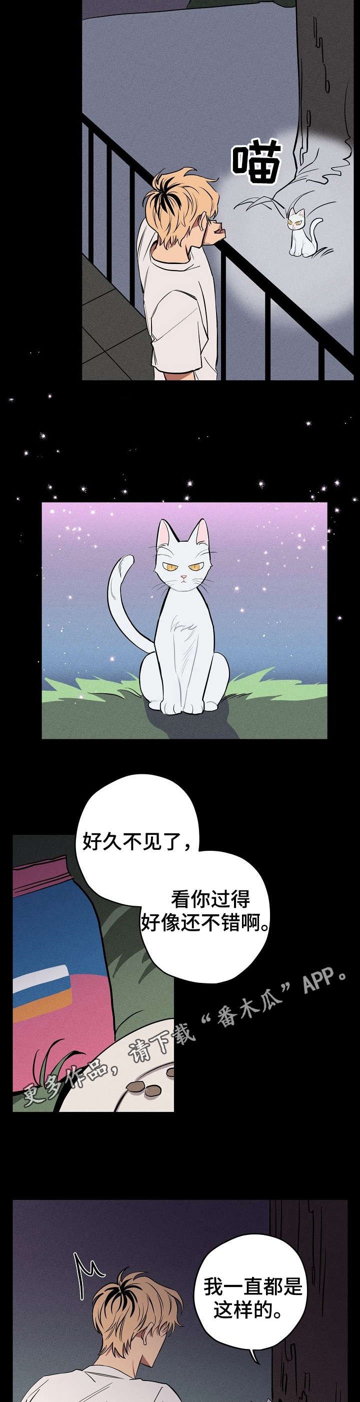 第10章：说话的猫