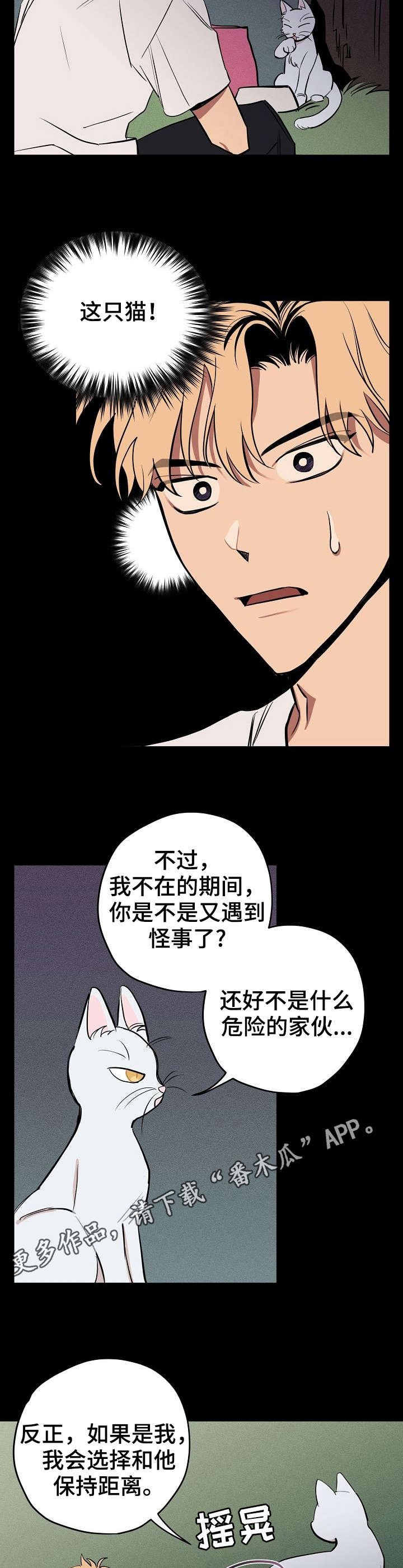 第10章：说话的猫