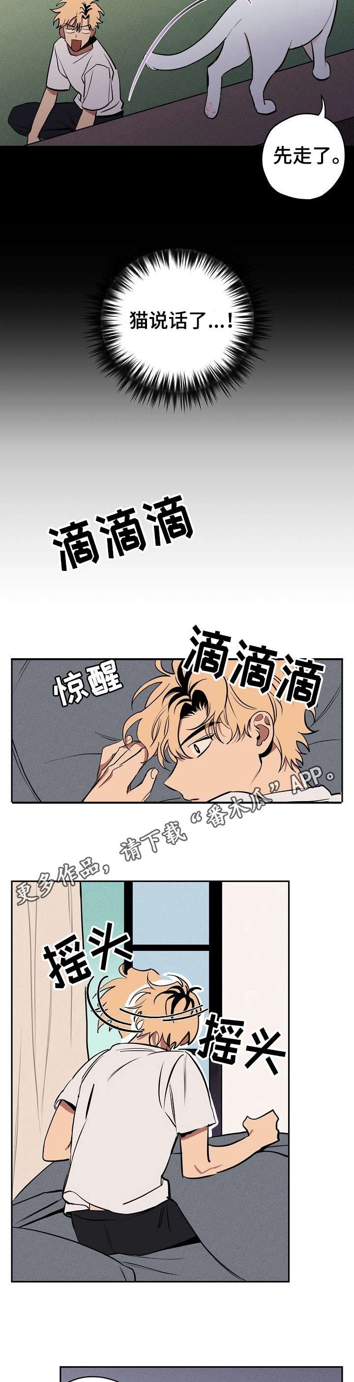 第10章：说话的猫