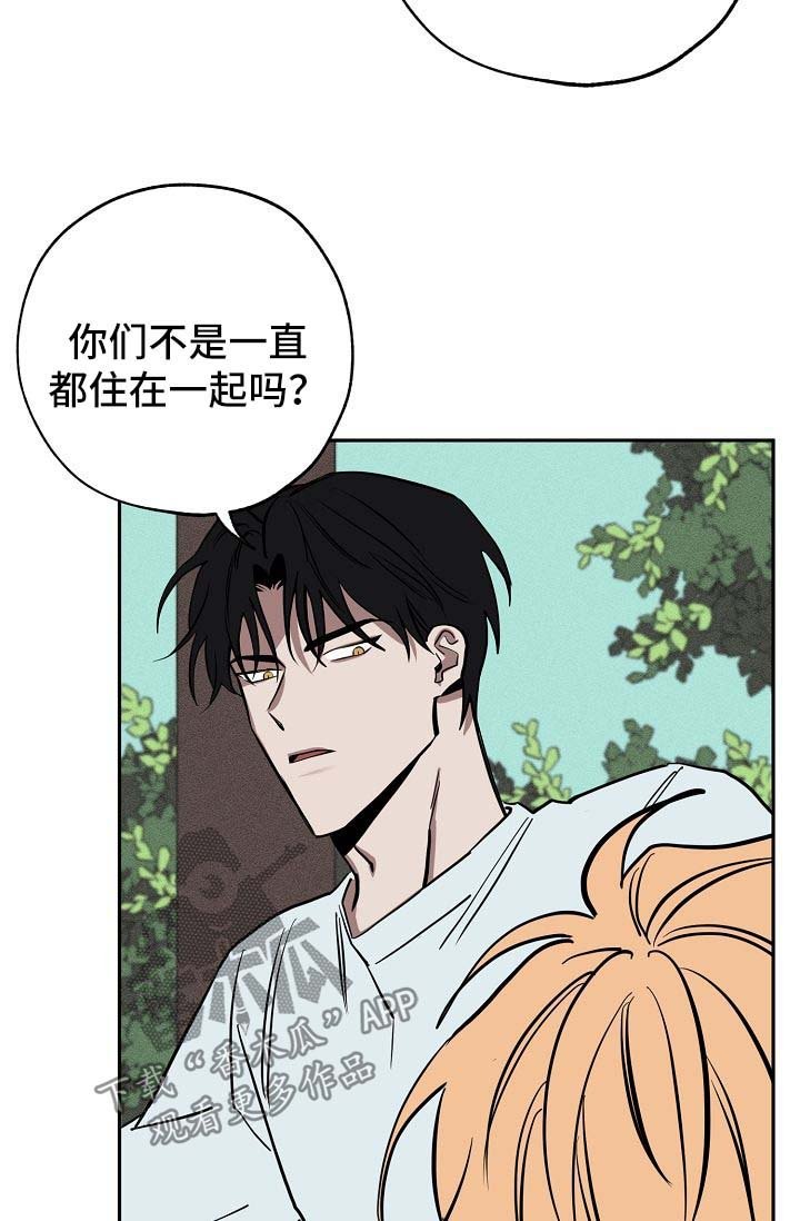 第19章：落单