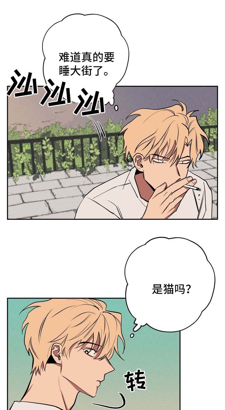 第19章：落单
