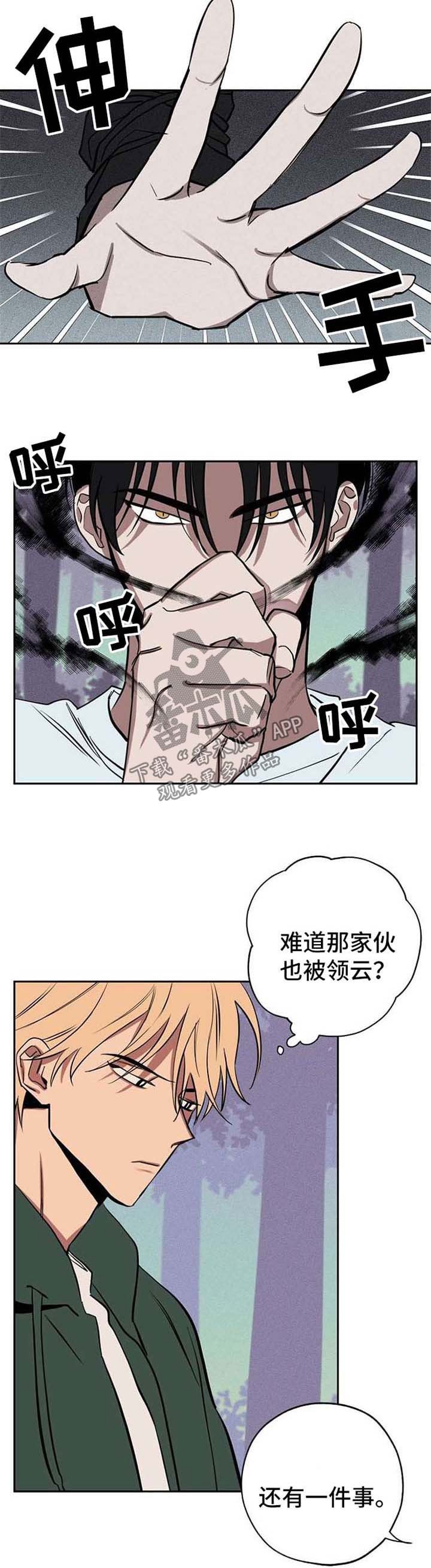 第21章：作战方案