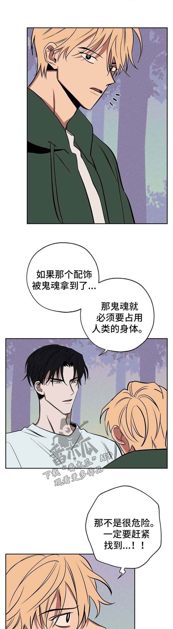 第21章：作战方案
