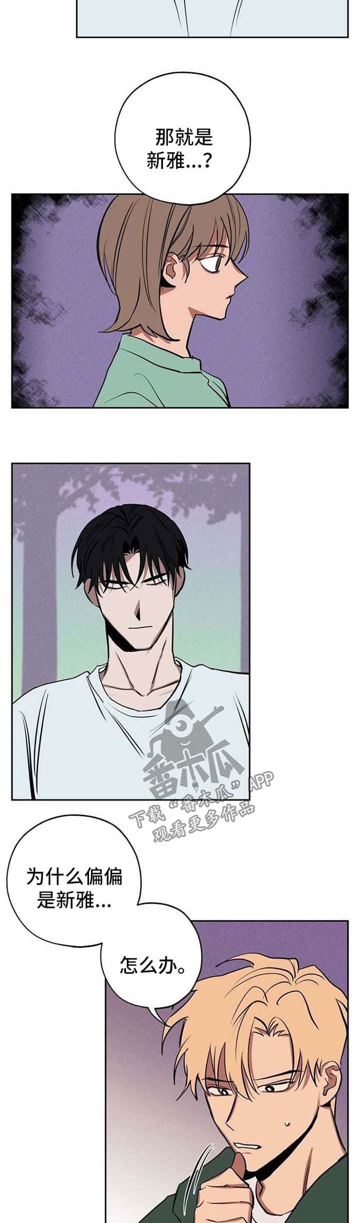 第21章：作战方案
