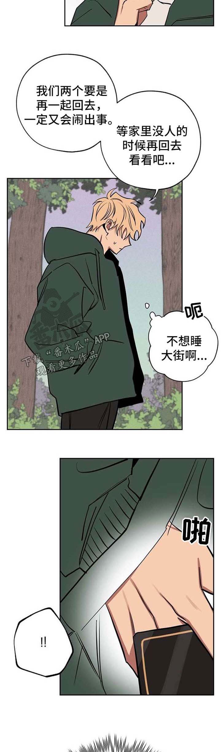 第21章：作战方案