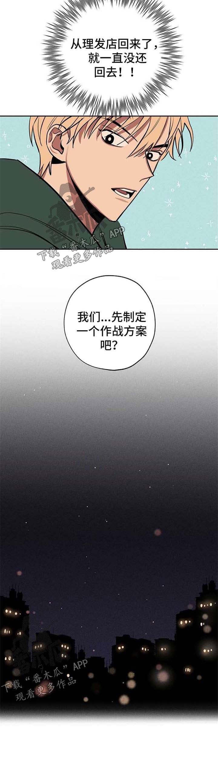 第21章：作战方案