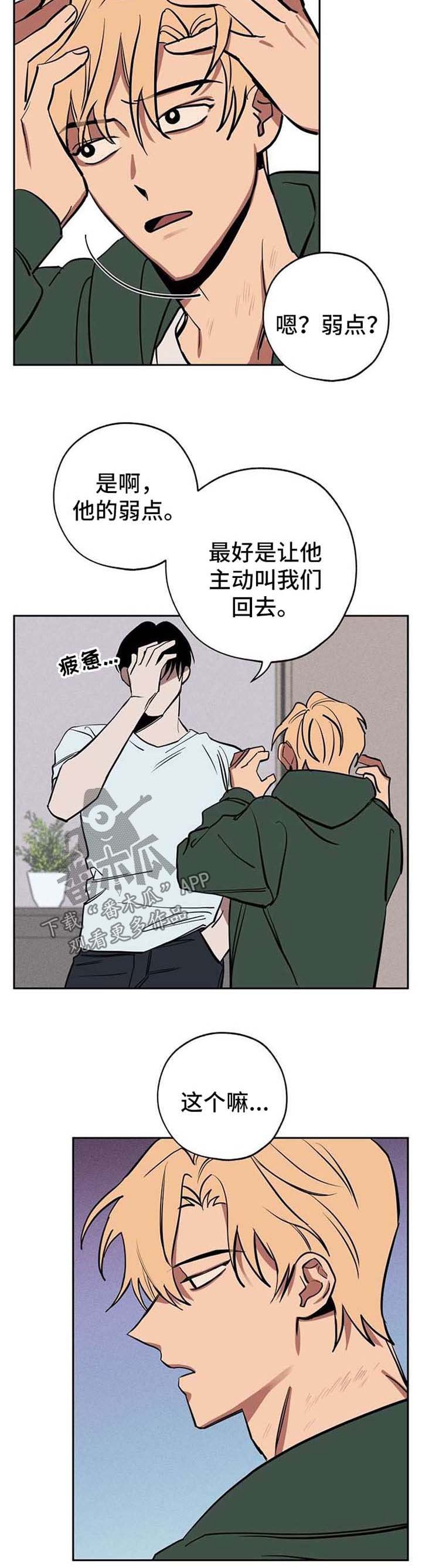 第22章：弱点