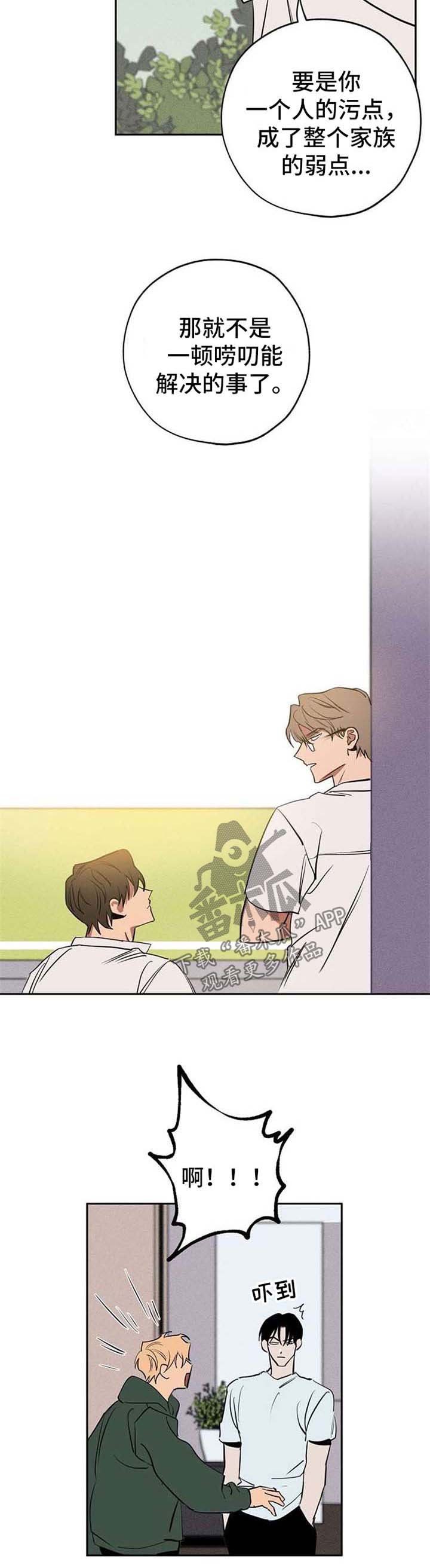第22章：弱点