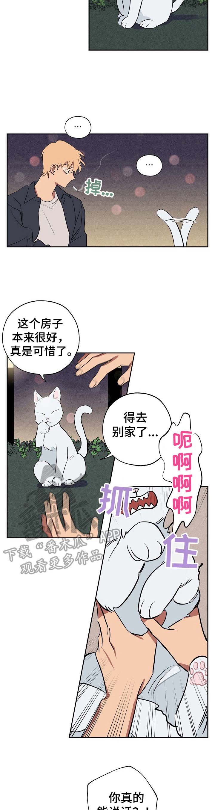 第33章：忠告