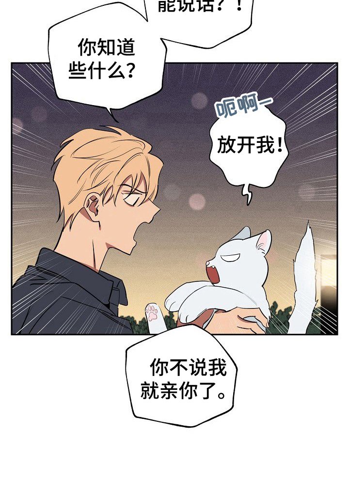 第33章：忠告
