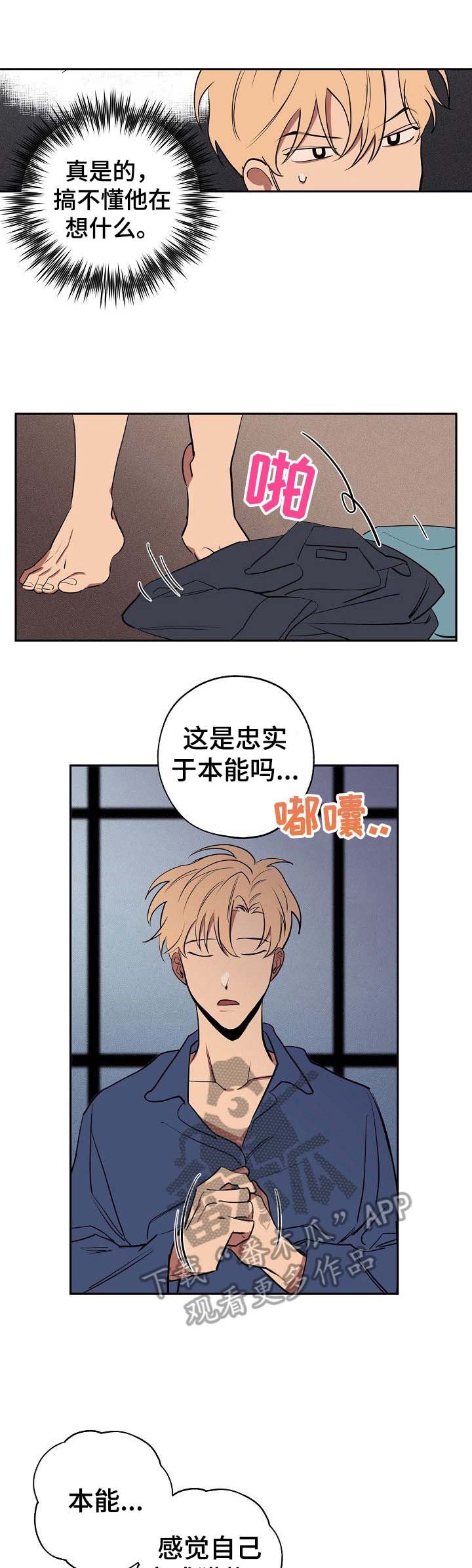 第35章：无所谓