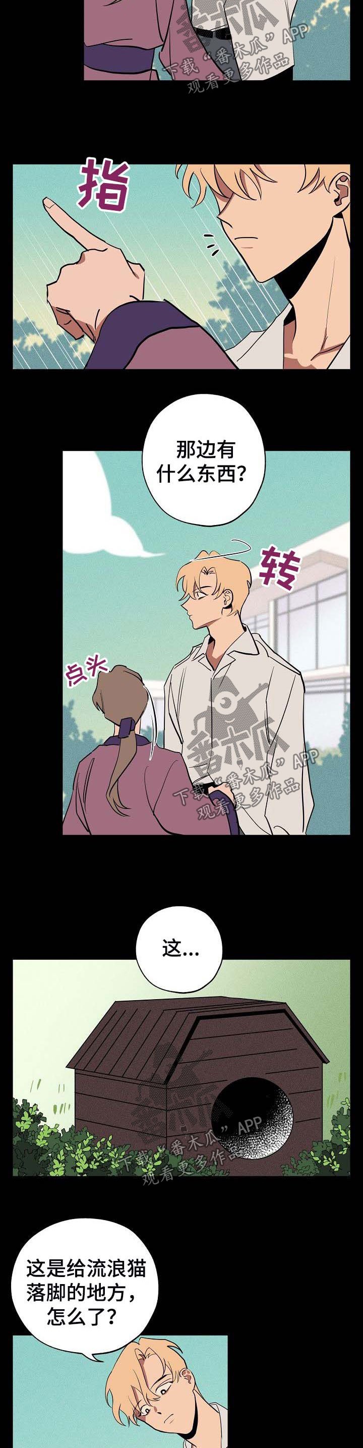 第41章：偷藏