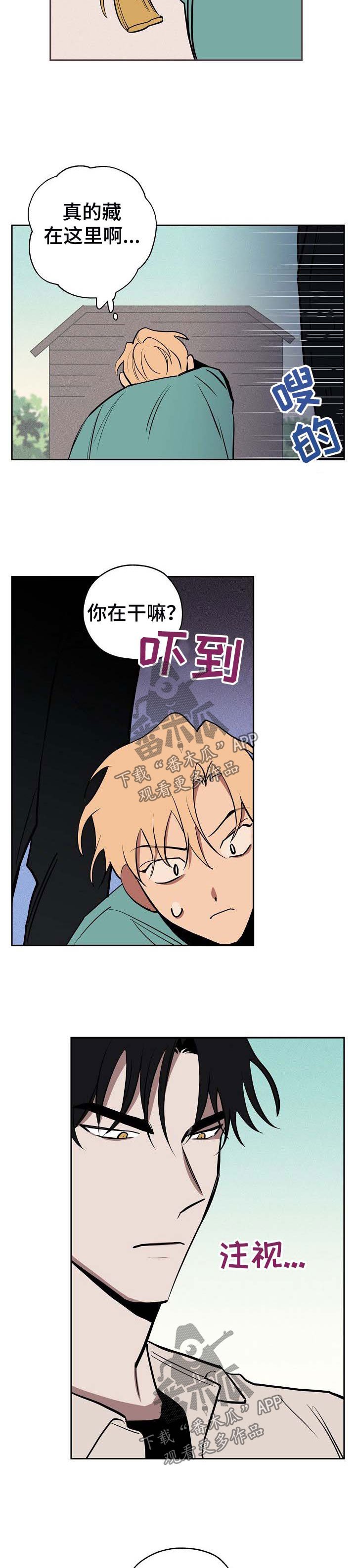 第41章：偷藏