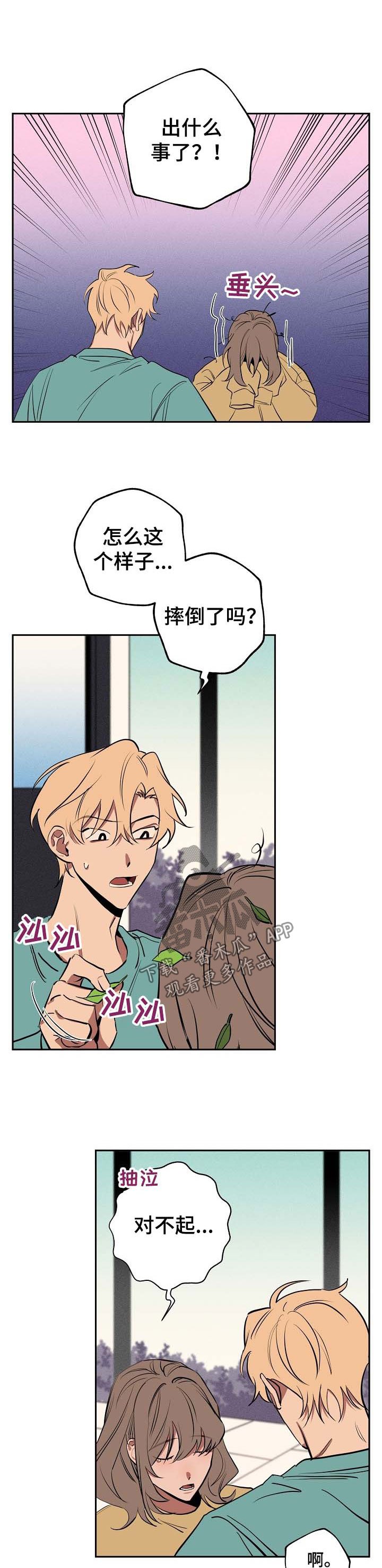 第51章：坦白