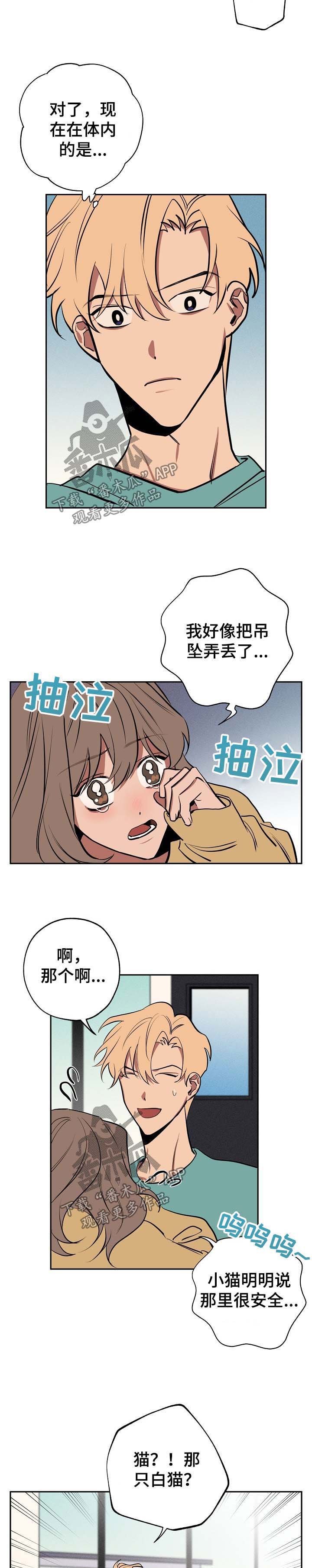 第51章：坦白