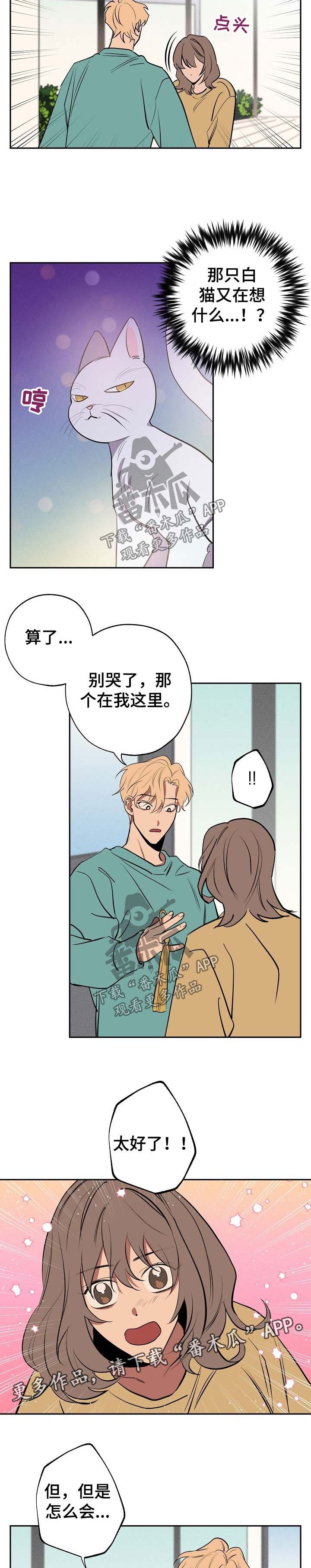第51章：坦白