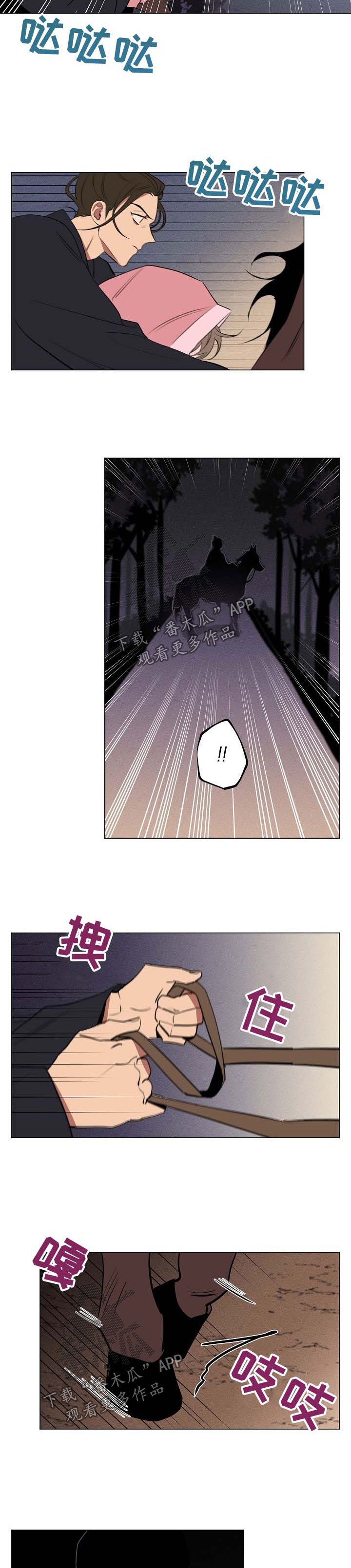 第53章：条件