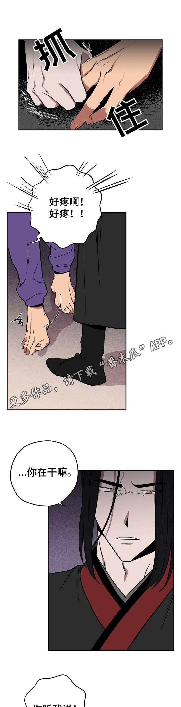 第8章：试验