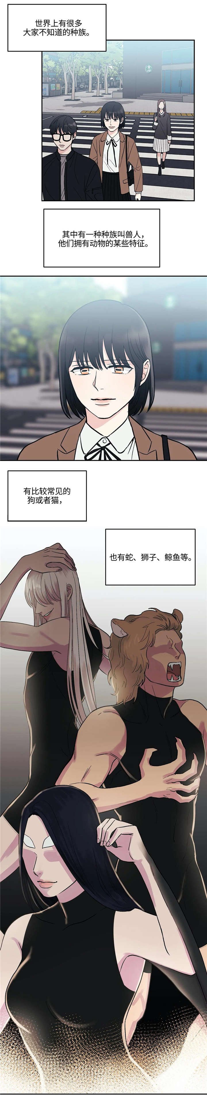 第3章：兽人