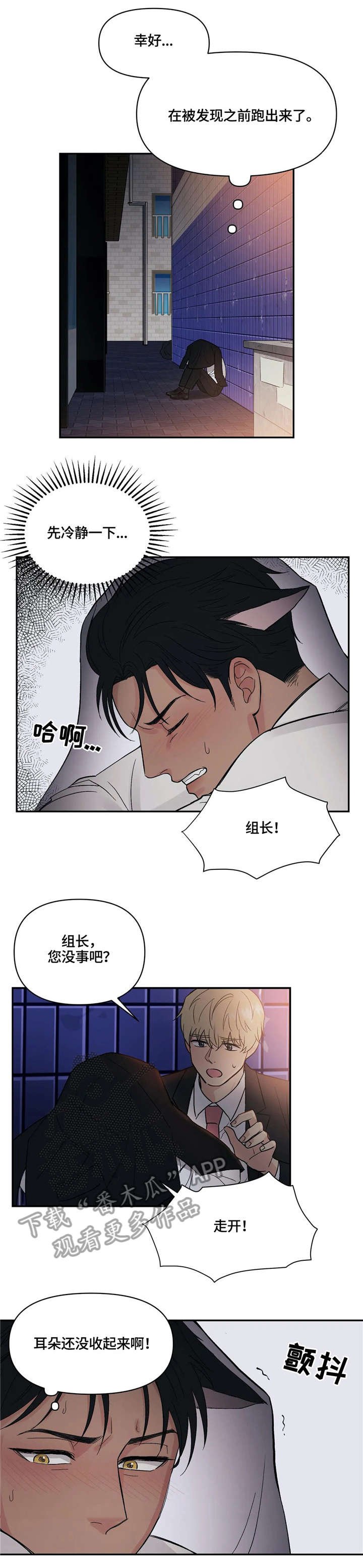 第4章：猫耳