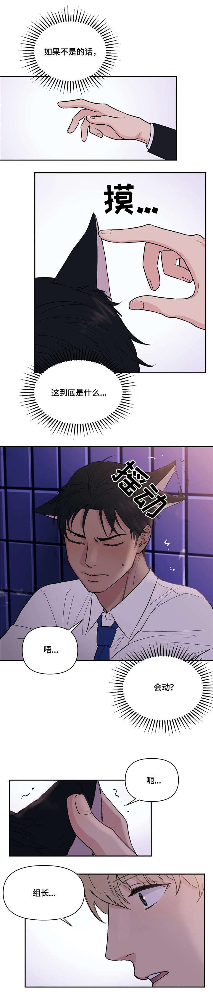 第4章：猫耳