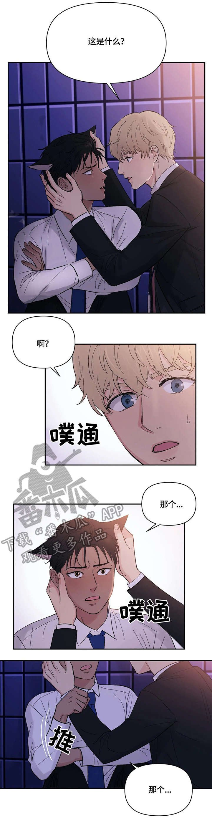第4章：猫耳